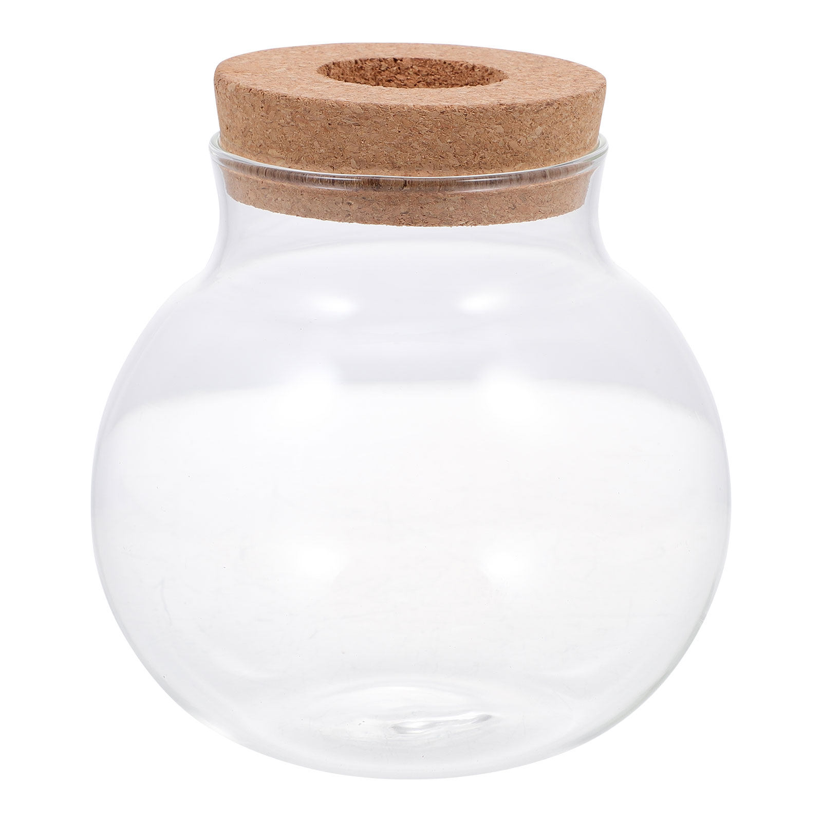 Aquarium Fish Keeping - Petit terrarium de micro-paysage, bouteille en