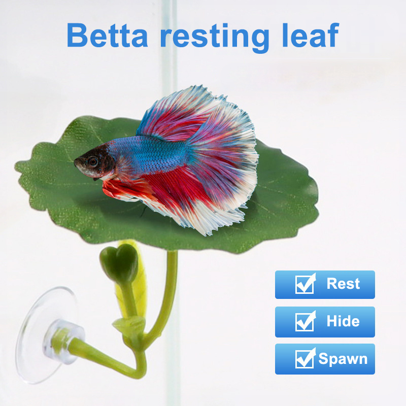 Aquarium Fish Betta - (Ce14)1/5PC Hamac à feuilles vertes pour