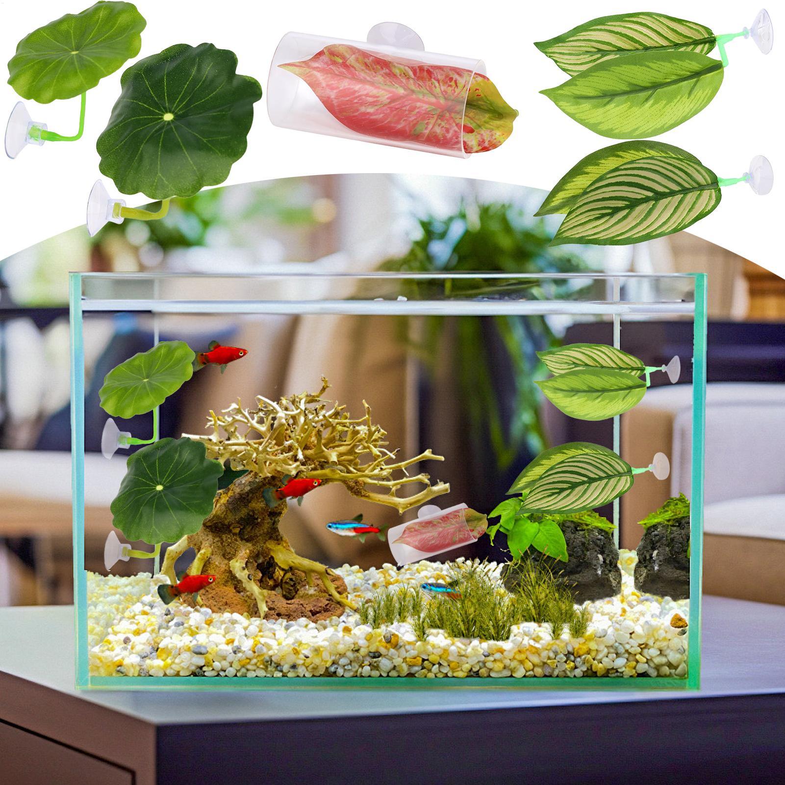 Aquarium Fish Betta - Hamac à poisson Betta 5 pièces