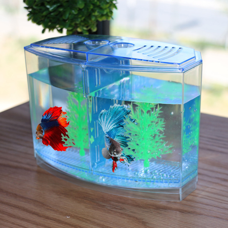 Aquarium Fish Keeping - Boîte d'isolation de poisson en acrylique