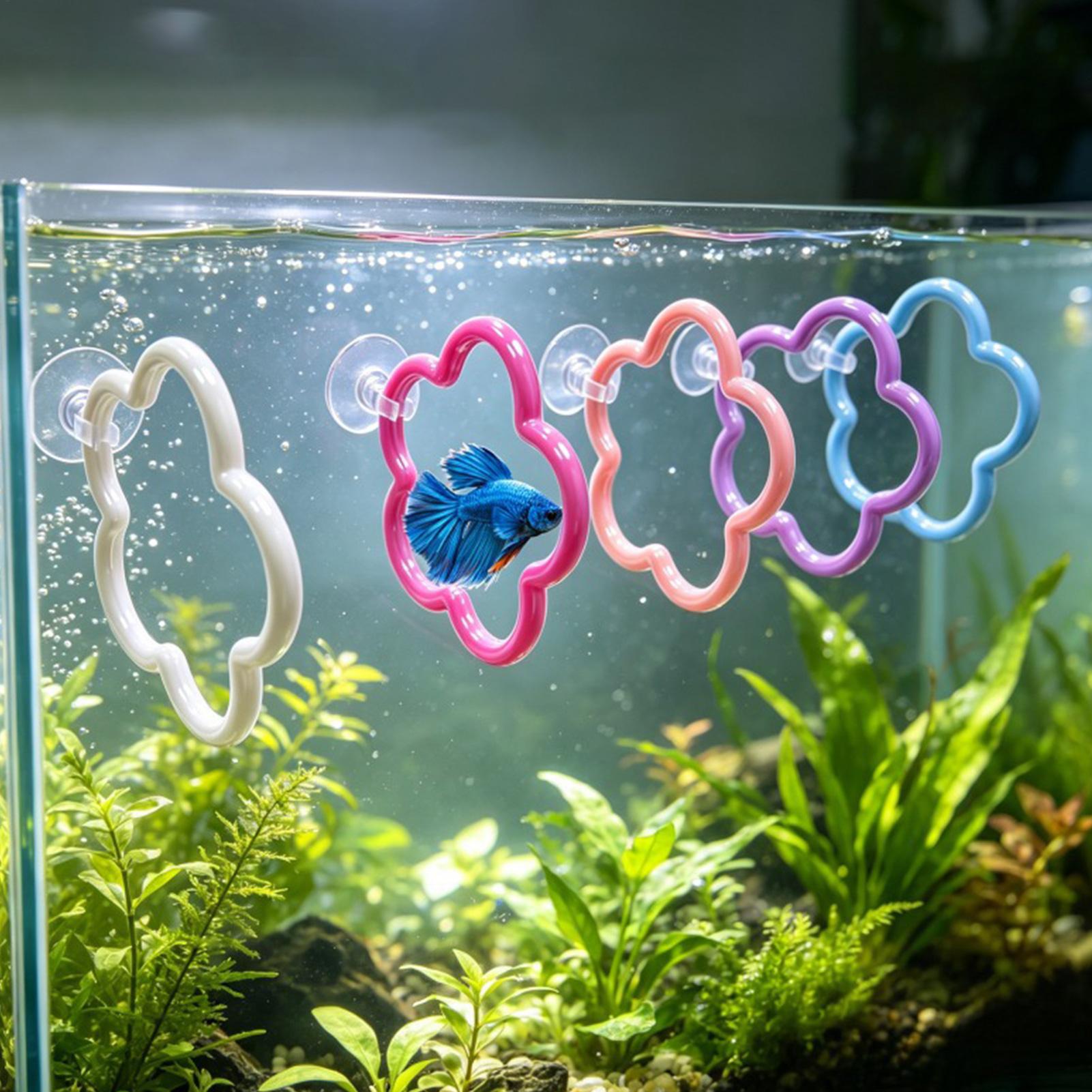 Aquarium Fish Betta - Jouets pour poissons Betta, 5 pièces,