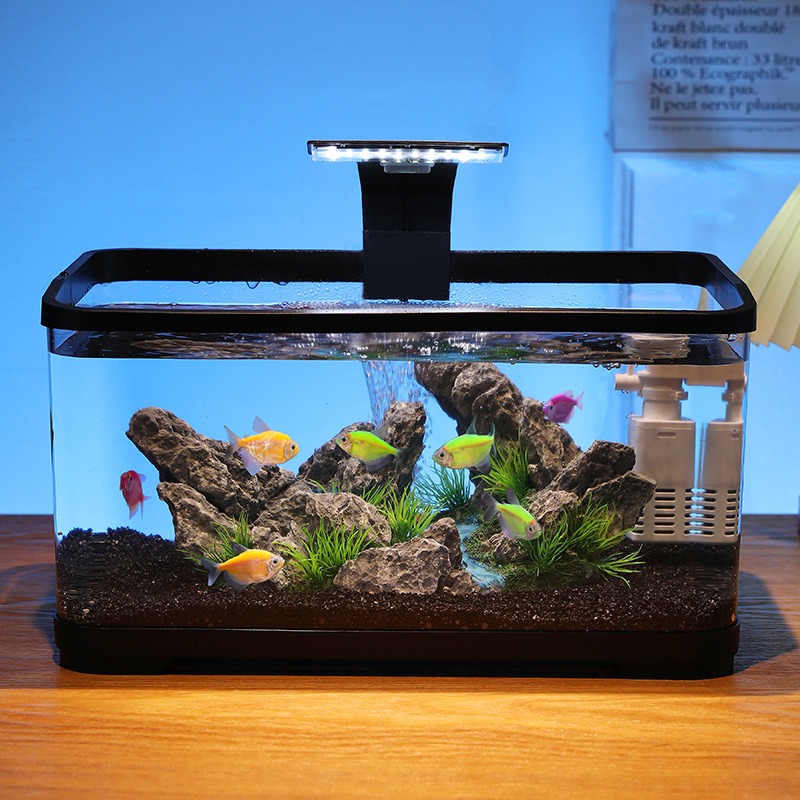 Fish Tank Filter - Aquarium de bureau avec filtre de