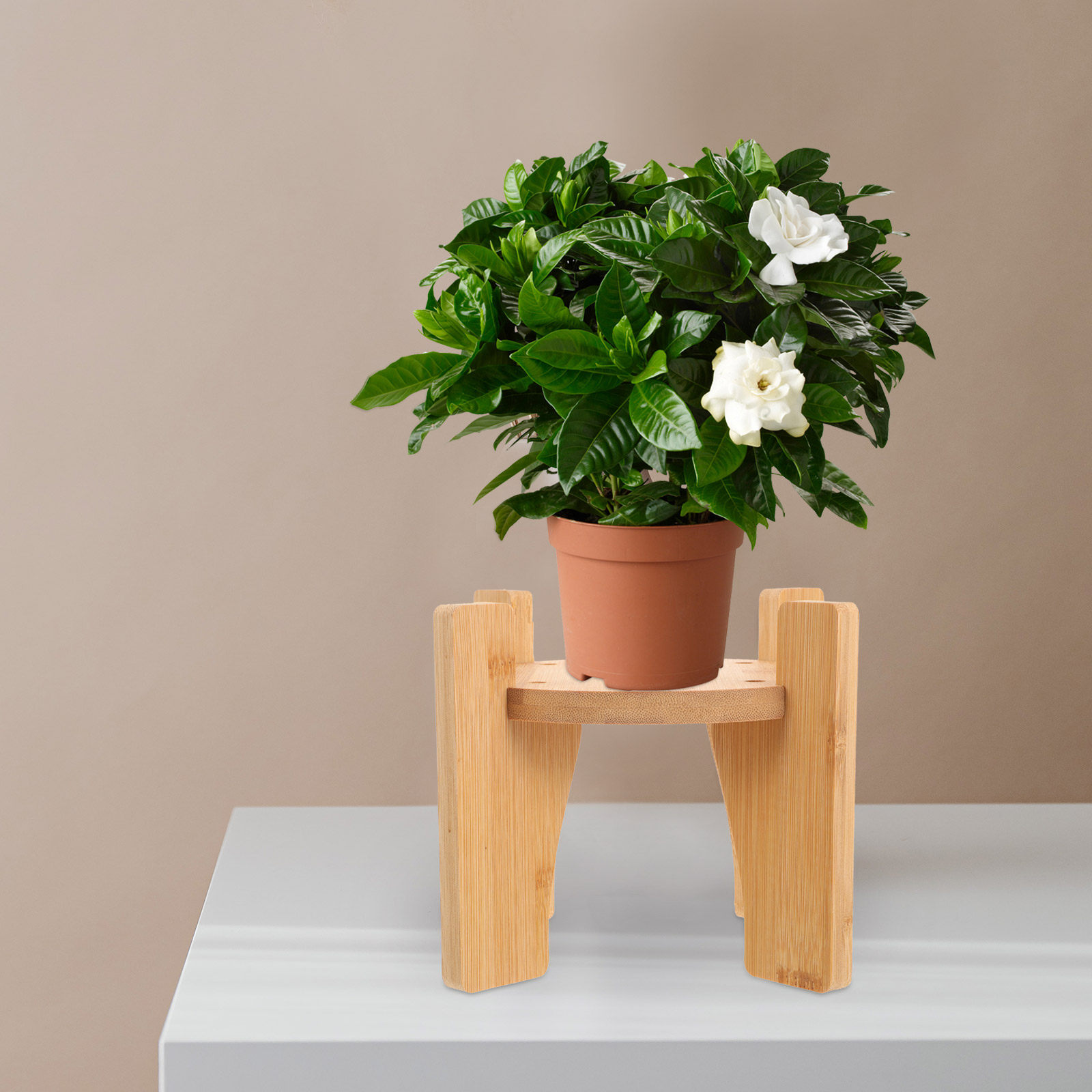Aquarium Plants - Support en bois pour distributeur de