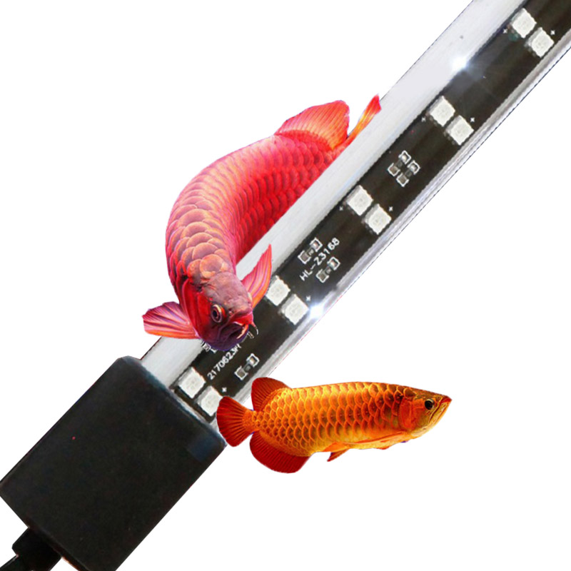 Lumière d'aquarium rouge Arowa - Aquarium Fish Keeping avis et prix