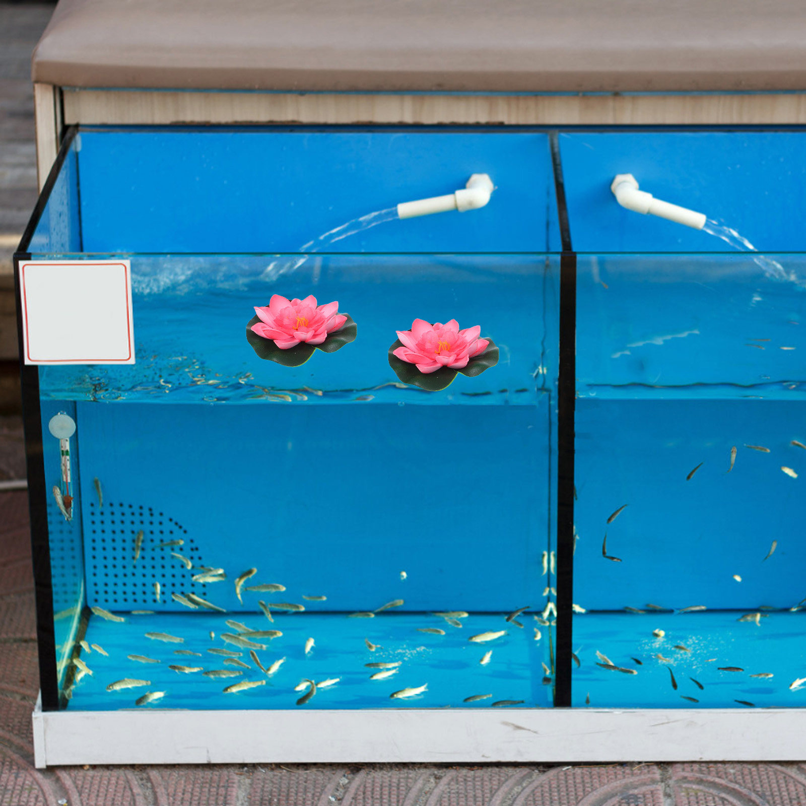 12 fleurs artificielles flotta - Aquarium Decor avis et prix