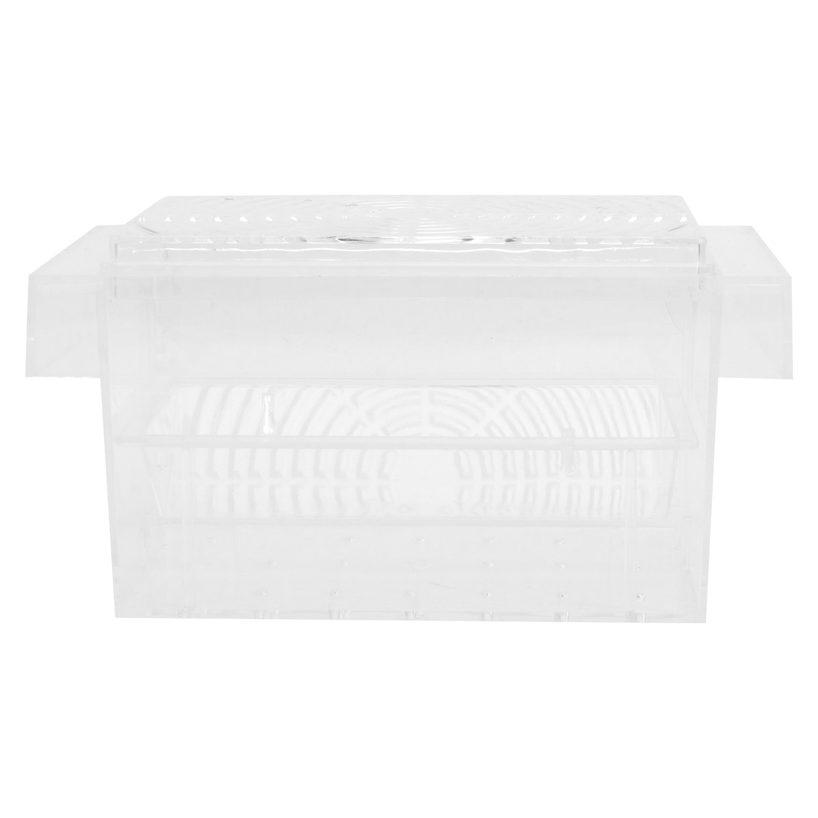 1 pièce, boîte d'isolement pou - Aquarium Fish Tank avis et prix