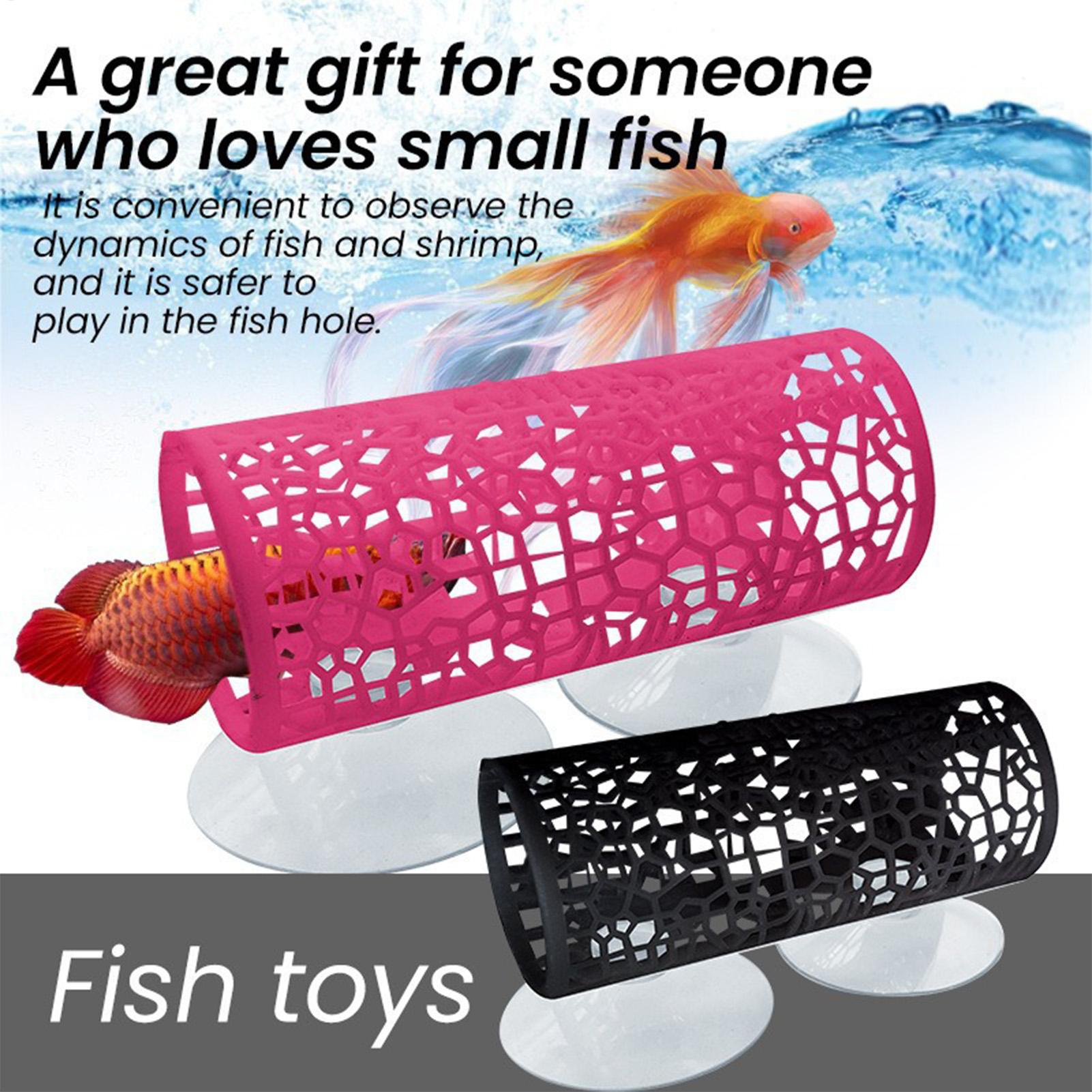 Habitat pour betta, abri de re - Aquarium Fish Betta avis et prix