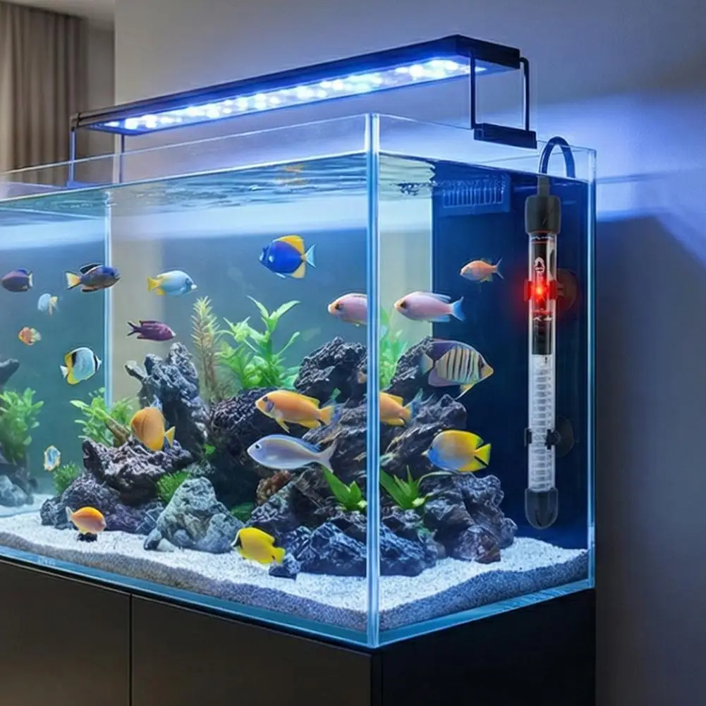 Chauffe-eau d'aquarium réglabl - Fish Tank Heater avis et prix