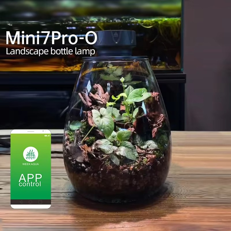 Lumière de remplissage de plan - Aquarium Plants avis et prix