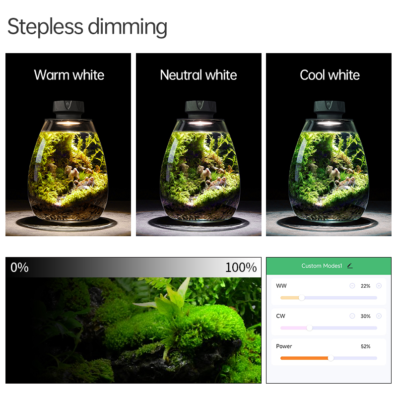 Lumière de remplissage de plan - Aquarium Plants avis et prix