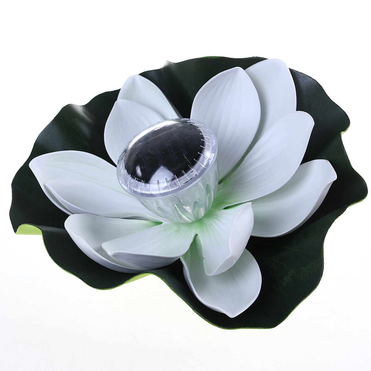 Décoration Lumineuse pour Bass - Aquarium Decor avis et prix