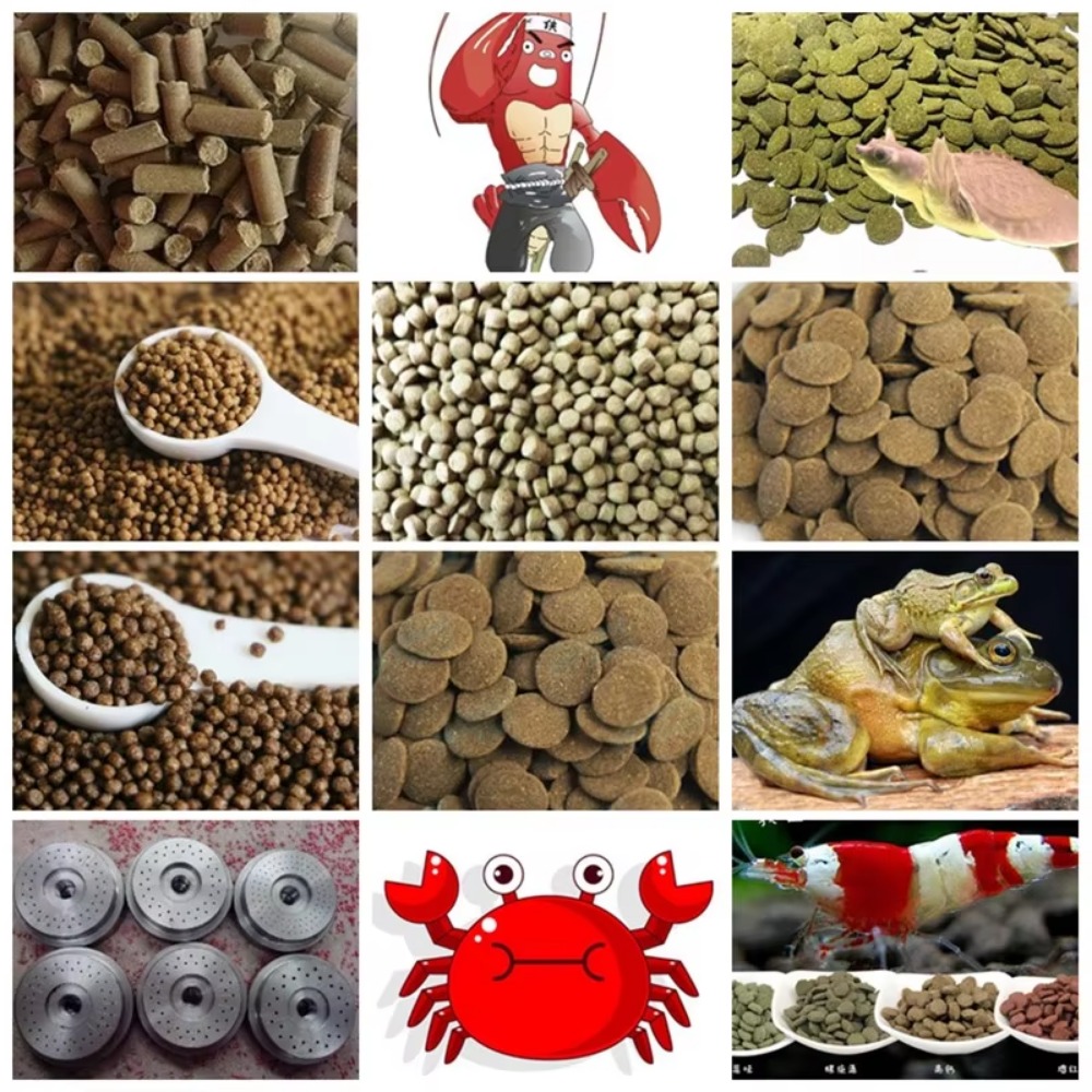 Machine extrudeuse de granulés - Fish Food avis et prix