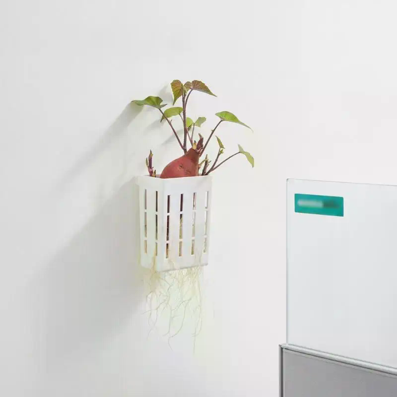 1 pièce Panier de support hydr - Aquarium Plants avis et prix