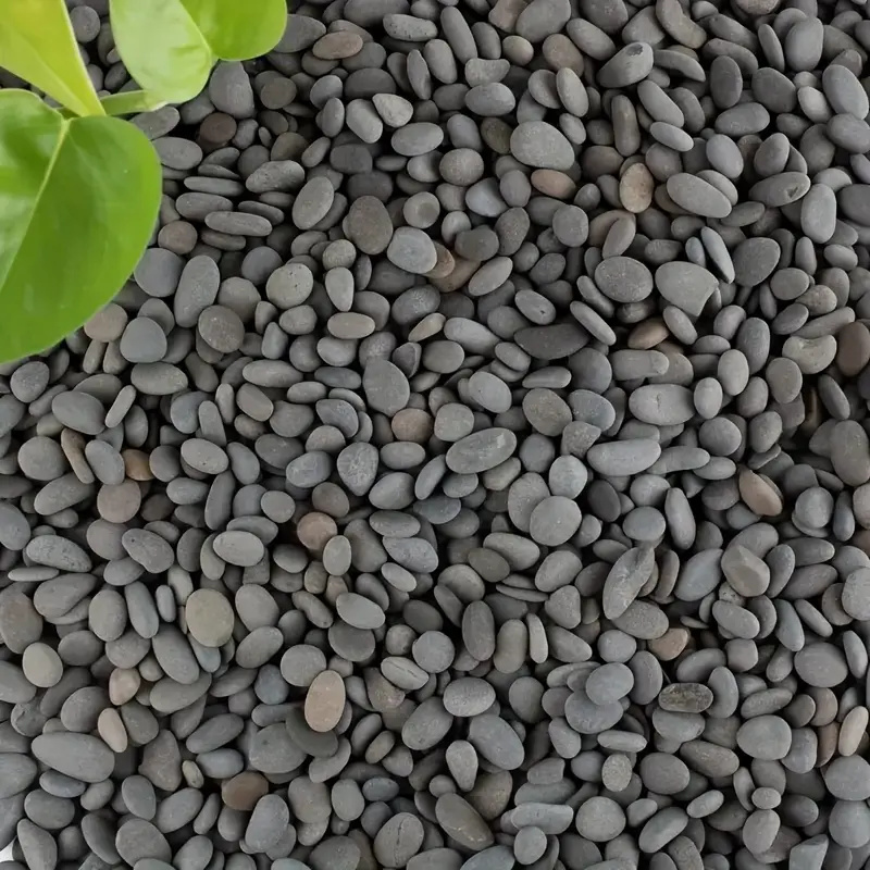 Roches de rivière naturelles,  - Fish Tank Gravel avis et prix