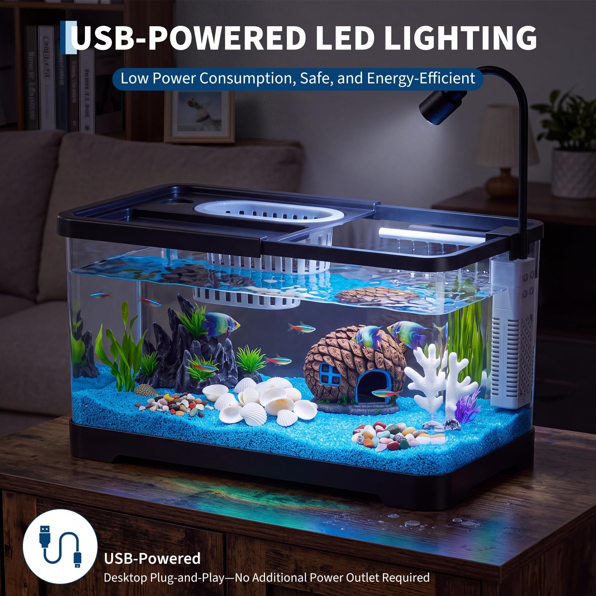 Kit de démarrage pour aquarium - Betta Fish Tank avis et prix