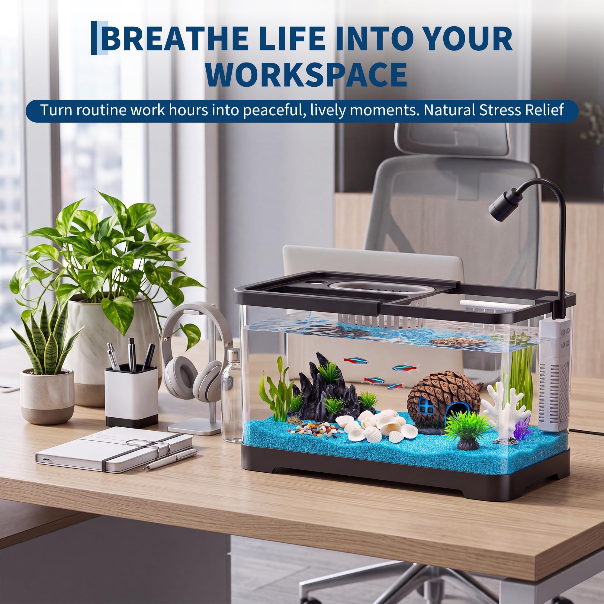 Kit de démarrage pour aquarium - Betta Fish Tank avis et prix