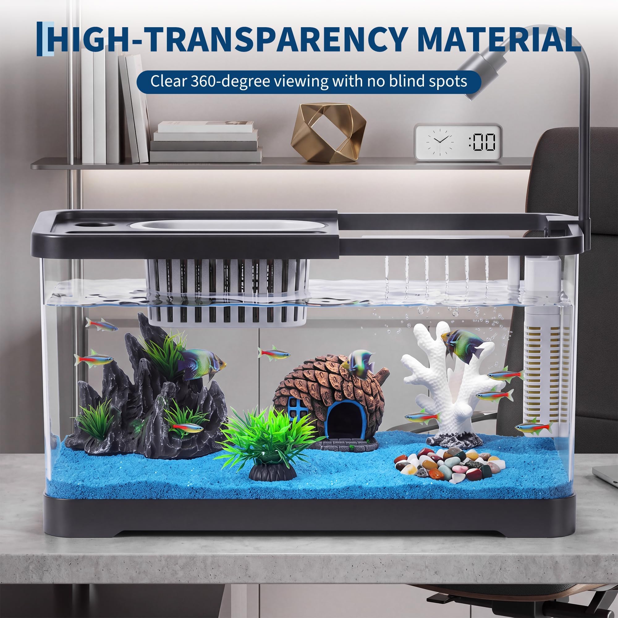 Kit de démarrage pour aquarium - Betta Fish Tank avis et prix