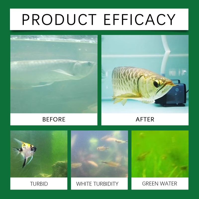 Comprimés de purification d'ea - Aquarium Fish Keeping avis et prix