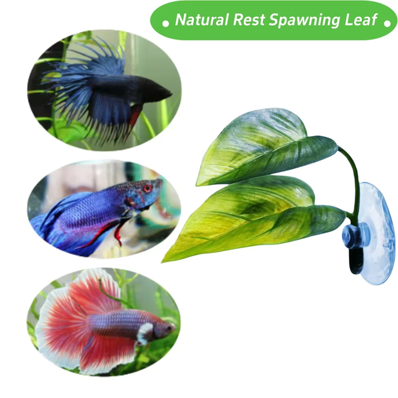 Fournitures pour animaux de co - Aquarium Fish Betta avis et prix