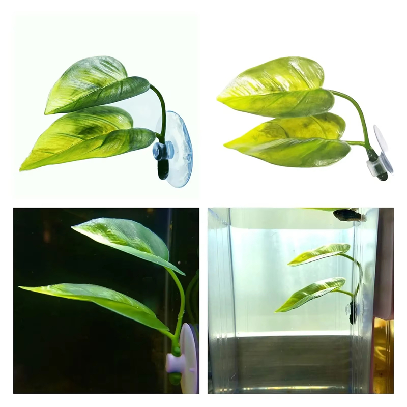 Fournitures pour animaux de co - Aquarium Fish Betta avis et prix