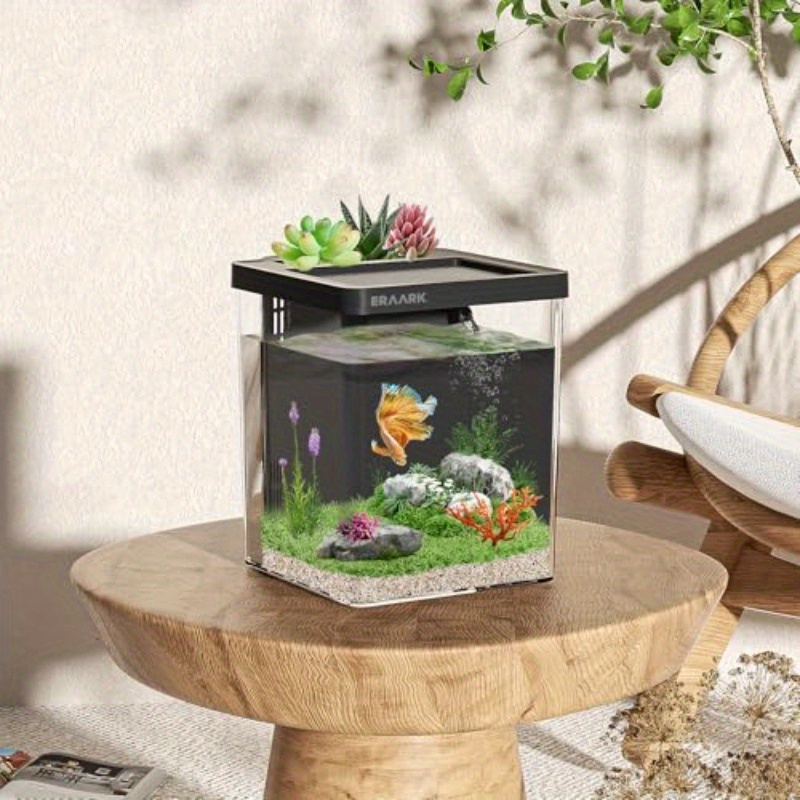 Aquarium de bureau/maison avec - Aquarium Fish Keeping avis et prix