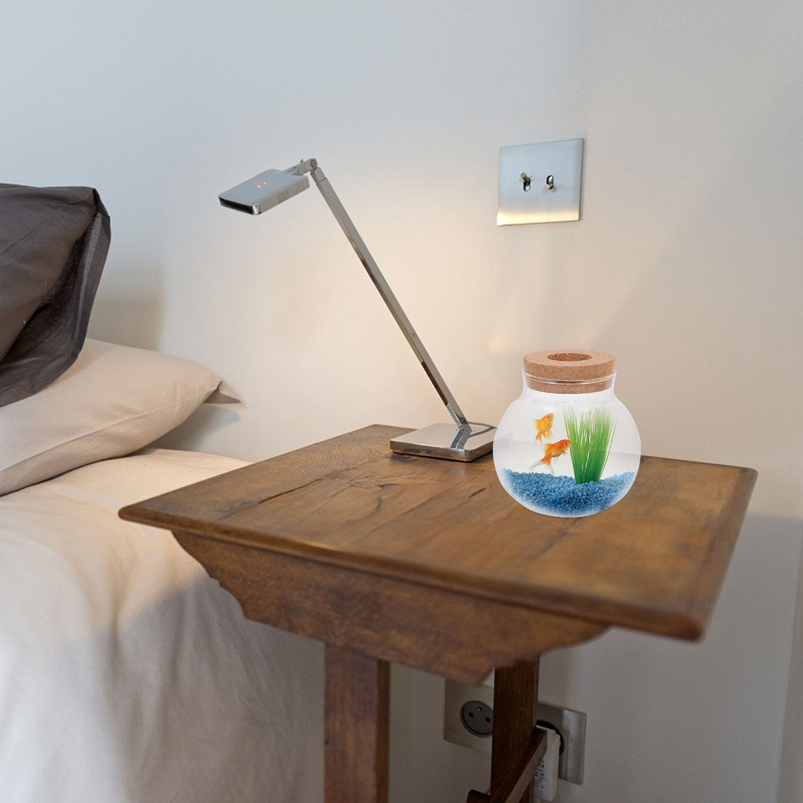 Petit terrarium de micro-paysa - Aquarium Fish Keeping avis et prix