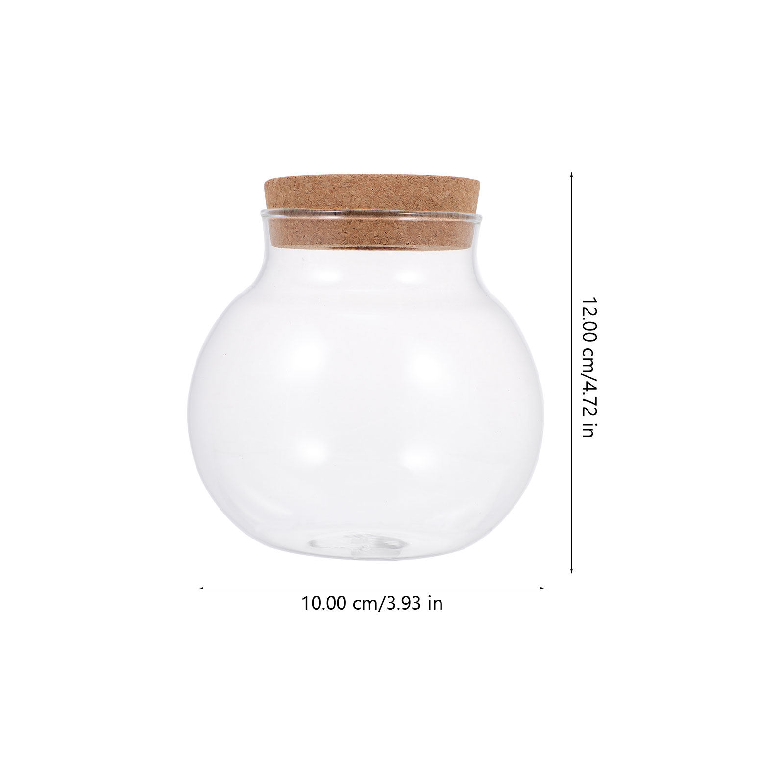 Petit terrarium de micro-paysa - Aquarium Fish Keeping avis et prix