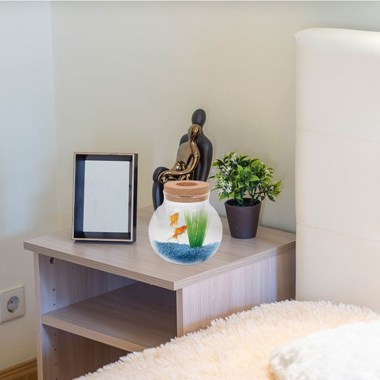 Petit terrarium de micro-paysa - Aquarium Fish Keeping avis et prix