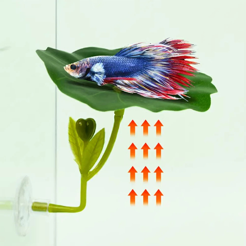 (Ce14)1/5PC Hamac à feuilles v - Aquarium Fish Betta avis et prix