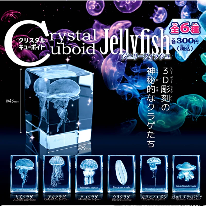 Gashapon Méduse 3D Clip Cuboïd - Aquarium Fish Keeping avis et prix