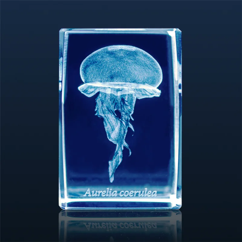 Gashapon Méduse 3D Clip Cuboïd - Aquarium Fish Keeping avis et prix