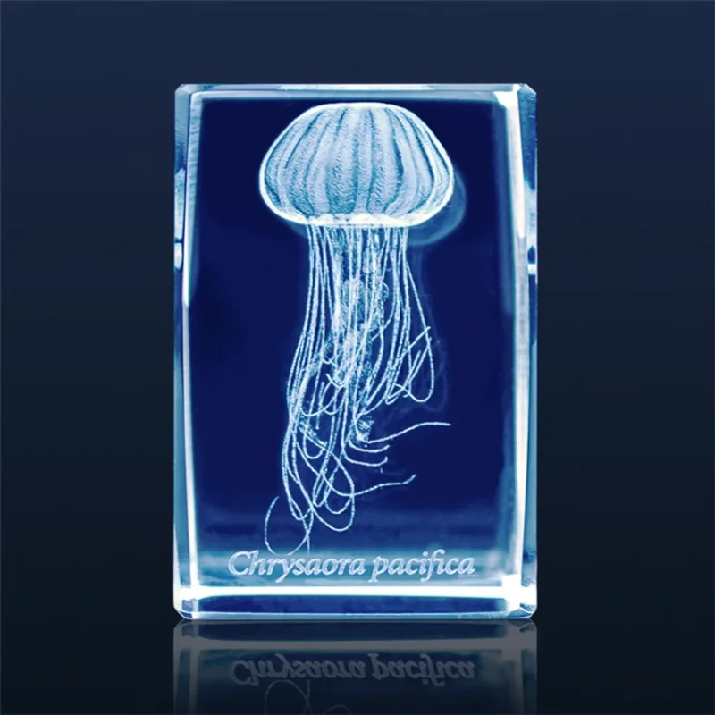 Gashapon Méduse 3D Clip Cuboïd - Aquarium Fish Keeping avis et prix
