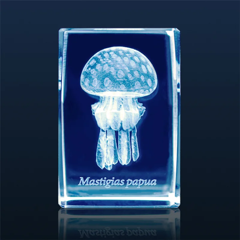 Gashapon Méduse 3D Clip Cuboïd - Aquarium Fish Keeping avis et prix