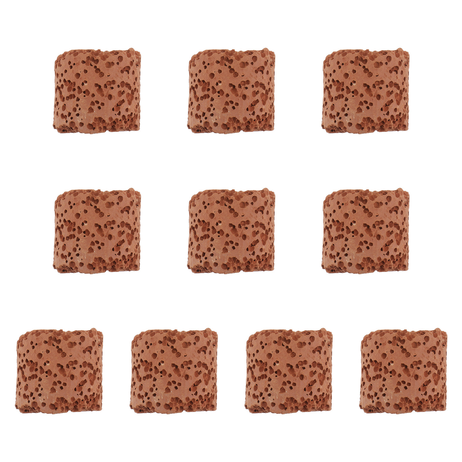 10 pièces, anneau pour plantes - Aquarium Decor avis et prix
