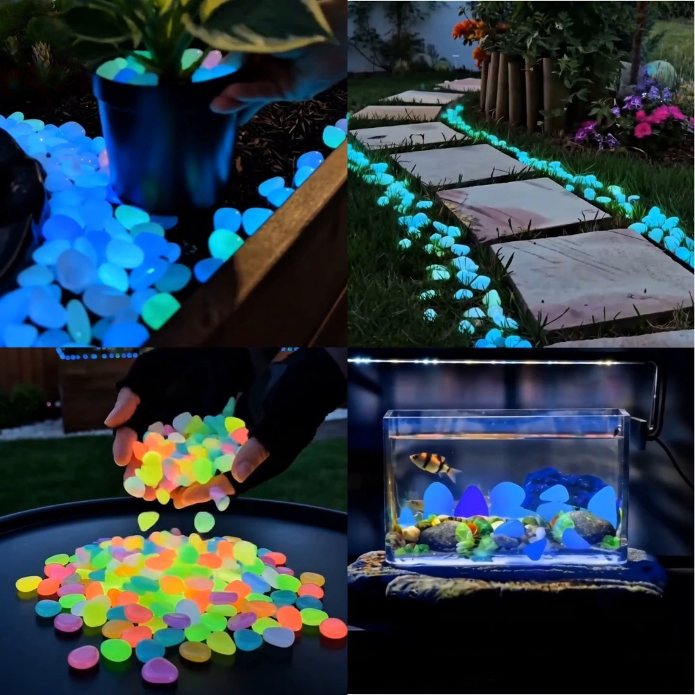 Galets lumineux colorés qui br - Aquarium Plants avis et prix