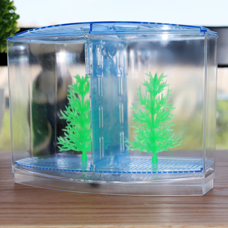 Boîte d'isolation de poisson e - Aquarium Fish Keeping avis et prix