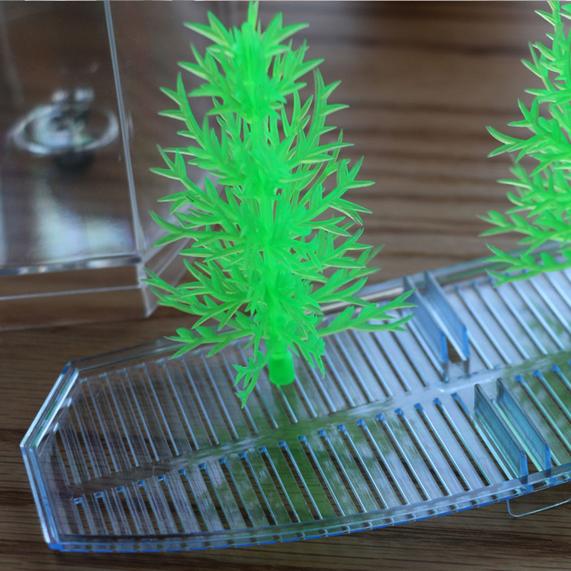 Boîte d'isolation de poisson e - Aquarium Fish Keeping avis et prix