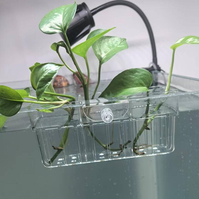 Panier hydroponique pour plant - Aquarium Decor avis et prix