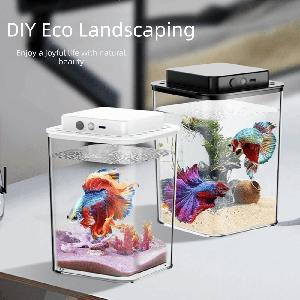 Aquarium transparent pour pois - Betta Fish Tank avis et prix