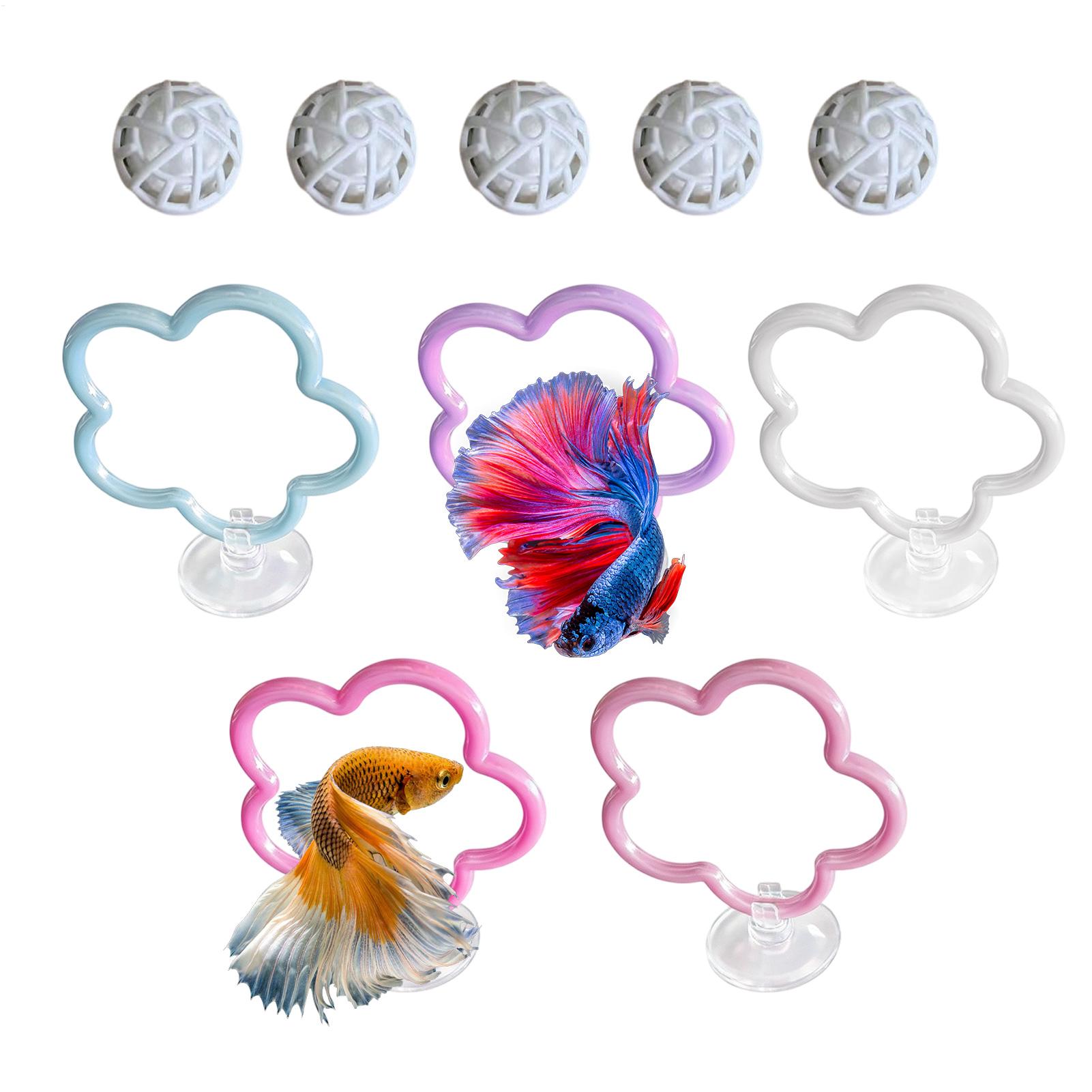 Jouets pour poissons Betta, 5  - Aquarium Fish Betta avis et prix