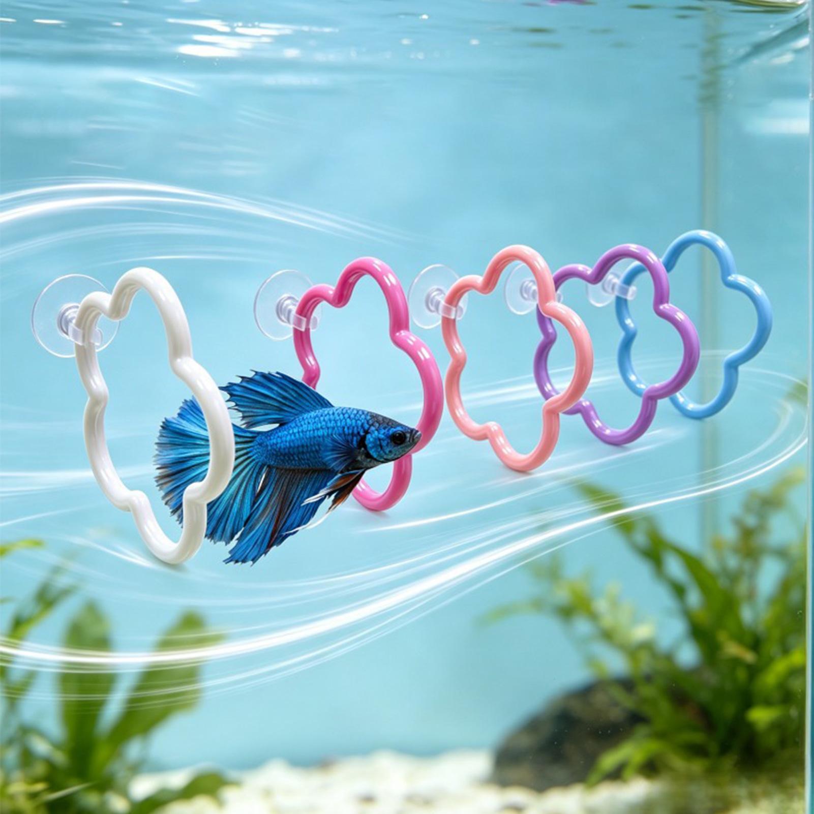 Jouets pour poissons Betta, 5  - Aquarium Fish Betta avis et prix