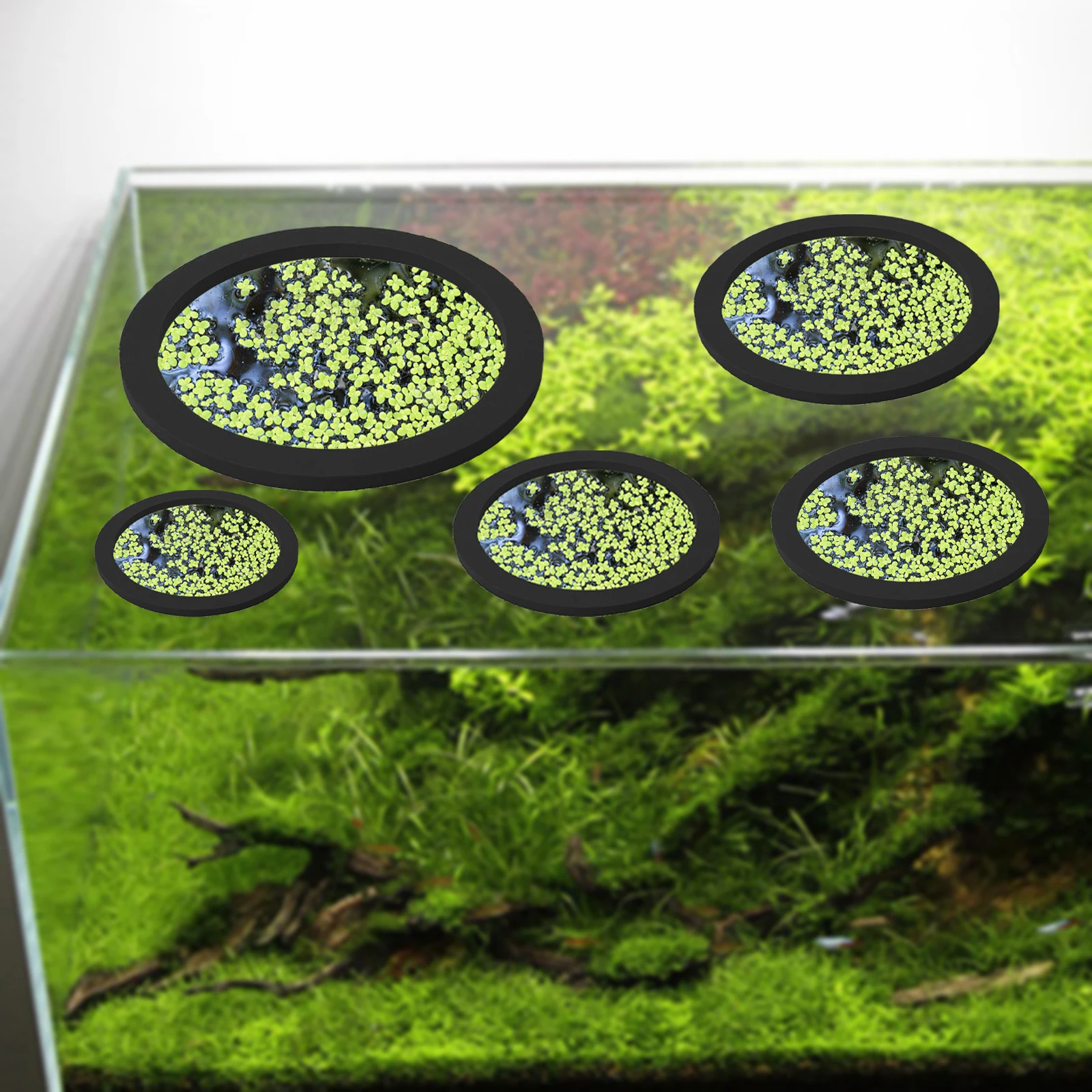 Anneaux d'Alimentation pour Aq - Fish Aquarium Home avis et prix