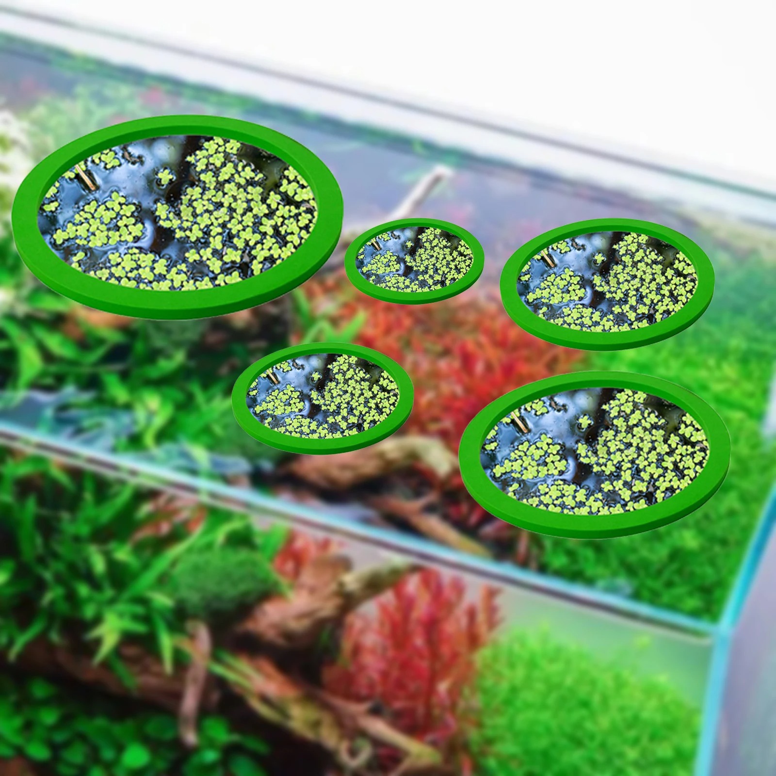 Anneaux d'Alimentation pour Aq - Fish Aquarium Home avis et prix