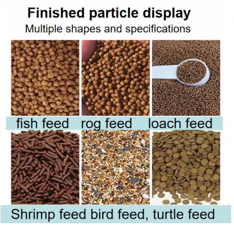 Extrudeuse d'aliments pour chi - Fish Food avis et prix