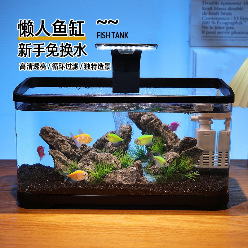 Aquarium de bureau avec filtre - Fish Tank Filter avis et prix