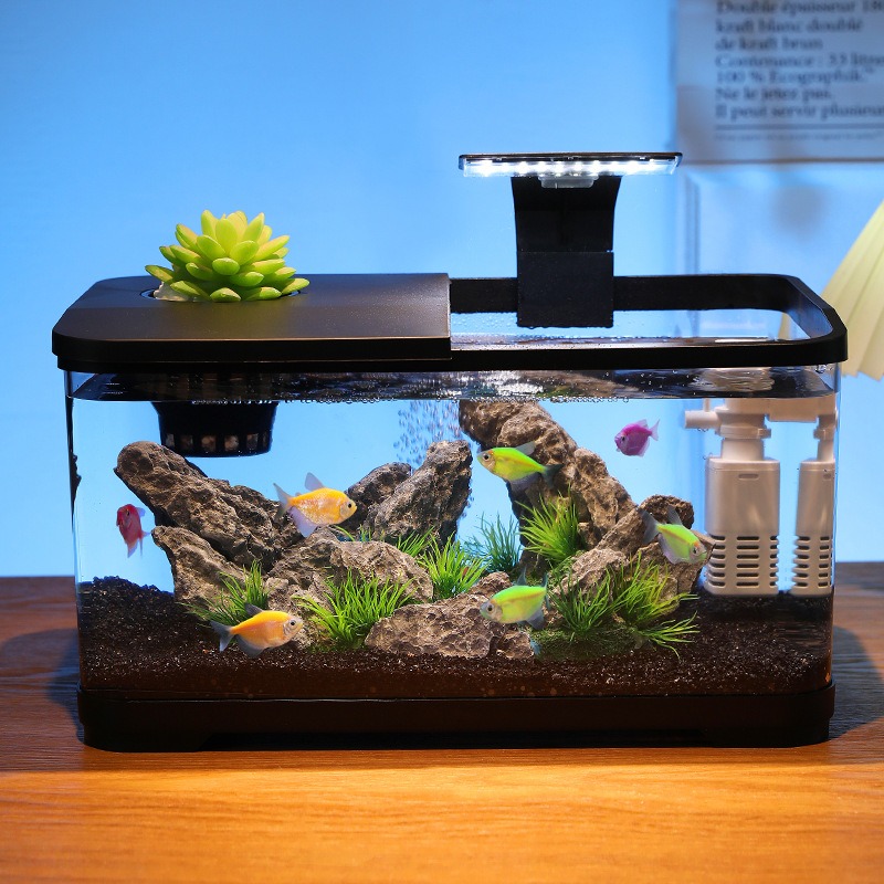 Aquarium de bureau avec filtre - Fish Tank Filter avis et prix