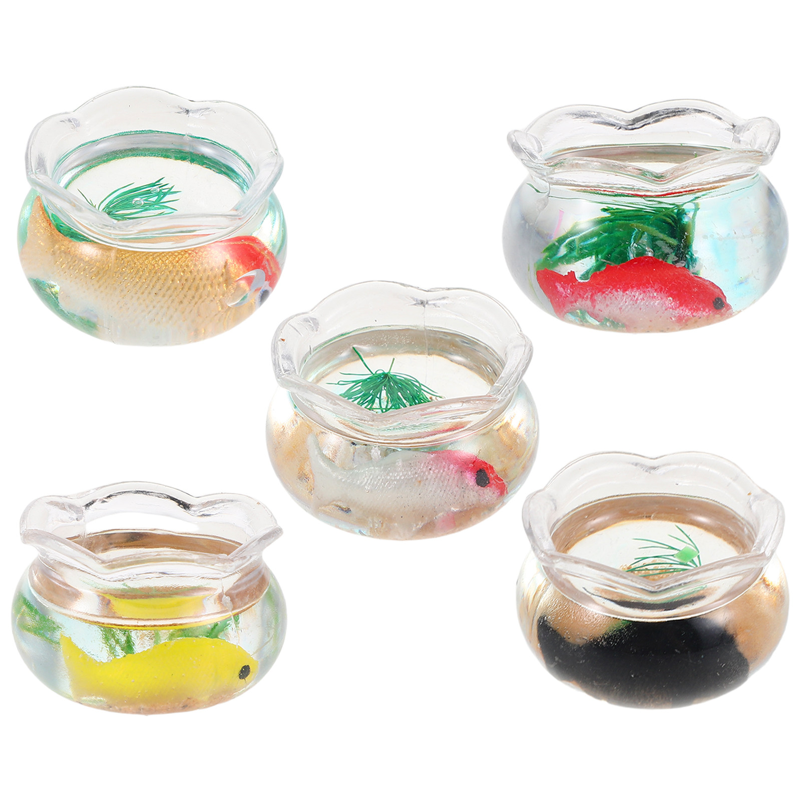 5 pièces, mini aquarium pour p - Aquarium Plants avis et prix