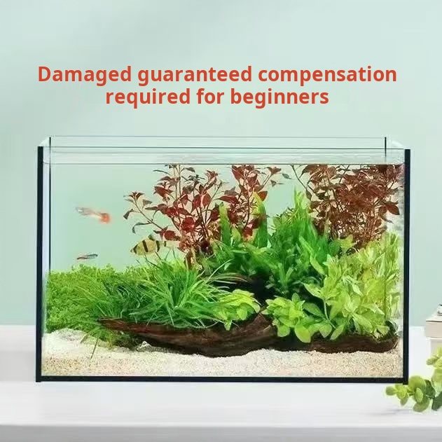 Aquarium rectangulaire en verr - Aquarium Fish Keeping avis et prix