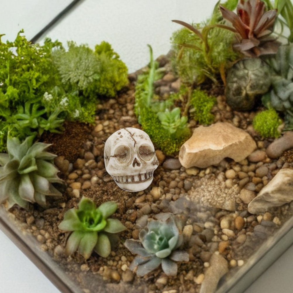 20 pièces, statue de crâne sou - Aquarium Decor avis et prix