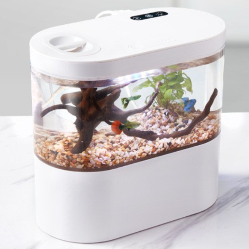 Mini aquarium de bureau créati - Aquarium Fish Betta avis et prix